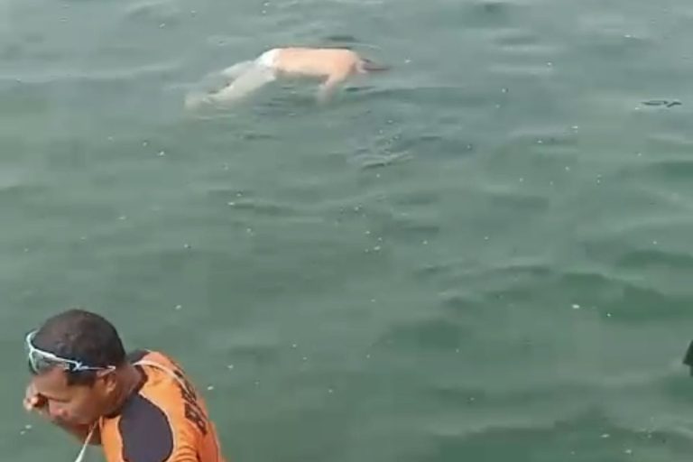 Wisatawan Asal Samarinda Tewas Mengapung di Perairan Bontang Kuala